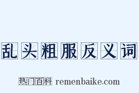 乱头粗服反义词是什么意思的图片